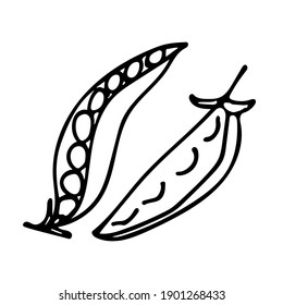 Cute hand-drawn pea pods. Doodle vector illustration for vegetable blanks, cooking recipes and kitchen design.