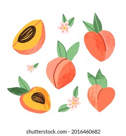 Cute Hand-drawn Peach Set In Various Dimensions, Full Fruit And Pieces, And Peach Tree Bloomy Flowers. Cartoon Vector Isolated Illustration.