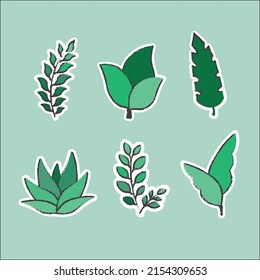 Plantas preciosas hechas a mano. Conjunto de plantas decorativas.