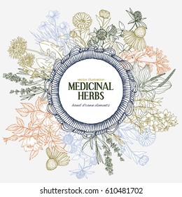 Cute hand-drawn round rope wicker frame with place for text with medicinal herbs and flowers, color vector vintage sketch illustration, chamomile, lavender, st john's wort, plantain, dog rose