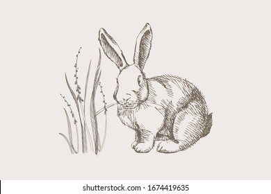 Cute hand-drawn white rabbit with first spring flowers on a light isolated background. Symbol of happy easter. White hare wild forest beast. Vintage vector illustration.