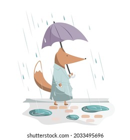 Cute and handsome fox walking with umbrella in the rain. Vector illustration.