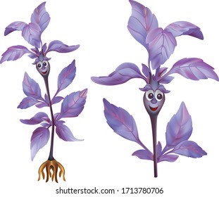 Cute happy cartoon basil plant. Funny flower herb drawing. Mascot cartoon style.