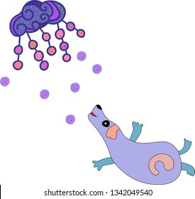 Cute happy cartoon dog looks at the colorful cloud on the white background