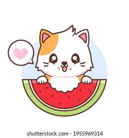 cute happy cat eating watermelon
