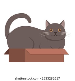 Cute happy cat sitting inside a small box, isolated