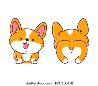 Cute happy corgi dog front and back. Vector flat line cartoon kawaii character icon. Hand drawn style illustration. Isolated on white background. Corgi puppy pet concept