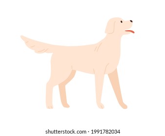 Cute Happy Dog Standing With Tongue Out. Adorable Doggy Of Labrador Breed. Friendly Canine Animal Wagging Tail. Flat Vector Illustration Of Pet Isolated On White Background