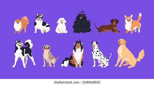 Cute happy dogs set. Doggies and puppies of different breeds. Purebred canine animals. Collie, corgi, dachshund, dalmatian, french bulldog and retriever. Isolated colored flat vector illustrations