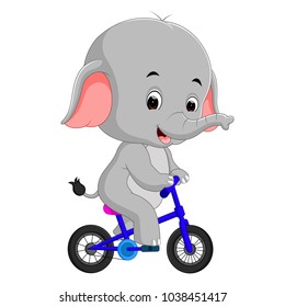 cute happy elephant cycling