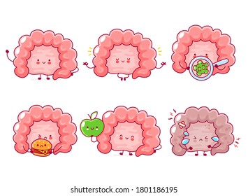 Cute Happy Funny Human Intestine Organ Set Collection. Vector Flat Line Cartoon Kawaii Character Illustration Icon. Isolated On White Background. Digestive Tract Concept