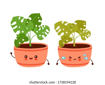 Cute happy funny monstera plant in pot. Vector cartoon character illustration icon design.Isolated on white background