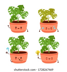 Cute happy funny monstera plant in pot set collection. Vector cartoon character illustration icon design.Isolated on white background