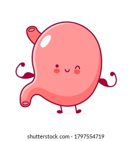 Cute happy funny stomach organ show muscle. Vector flat line cartoon kawaii character illustration icon. Isolated on white background
