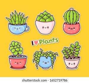 Cute alegre y divertida colección de suculentas plantas. Dibujo plano vectorial kawaii diseño icono de ilustración. Escultores, costras de cactus y el concepto de bulbos