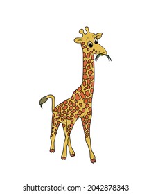 Cute happy giraffe chewing greens isolated on white background. Vector illustration for kids book. Vintage style. 