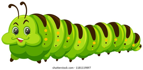 Cute happy green catapillar  illustration