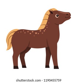 Cute happy horse on white background