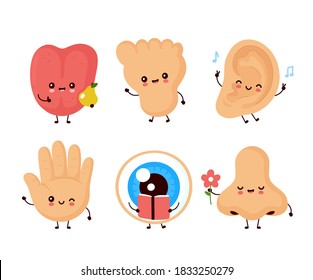 Cute happy human senses organ set collection. Vector flat illustration icon design.Human cute nose, eye, hand, ear, tongue, foot characters bundle concept
