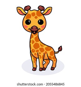 Cute happy little giraffe cartoon