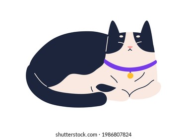 Cute happy relaxed cat purring. Adorable kitty resting with closed eyes. Contented sweet kitten lying and enjoying . Flat vector illustration of calm feline animal isolated on white background