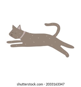 Cute happy relaxed cat purring