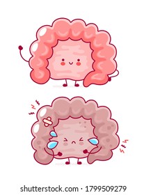 Cute happy and sad funny human intestine organ. Vector flat line cartoon kawaii character illustration icon. Isolated on white background. Digestive tract concept