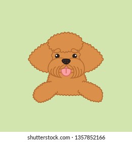 Cute Happy Smiling Apricot Coat Poodle Lying Down From Front Cartoon Vector Illustration