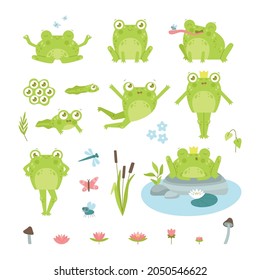 Cute happy toad frog character flat vector illustrations set  Funny drawings eggs  tadpole   adult green amphibian in crown  lotus  insects isolated white background  Nature  fauna concept