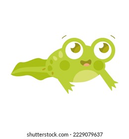 Cute happy toad transforms from a tadpole into an adult frog flat vector illustration. Funny drawings of green amphibian isolated on white background. Nature concept