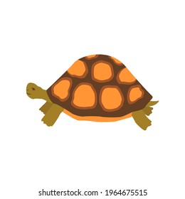 Cute happy turtle. Colorful vector isolated hand drawn illustration. Sea turtle. Amphibian from the ocean