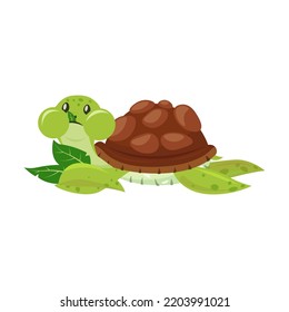 Cute happy turtle. Funny cartoon character eating, enjoying leisure. Flat vector illustration for animals or wildlife concept