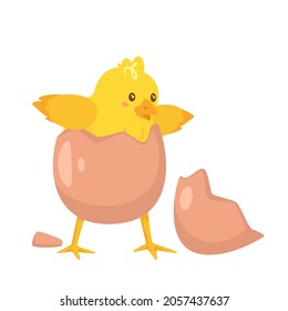 Cute happy yellow chick breaks free of the shell. Chick standing in a cracked egg. Hatching process. Vector illustration isolated on white background. 