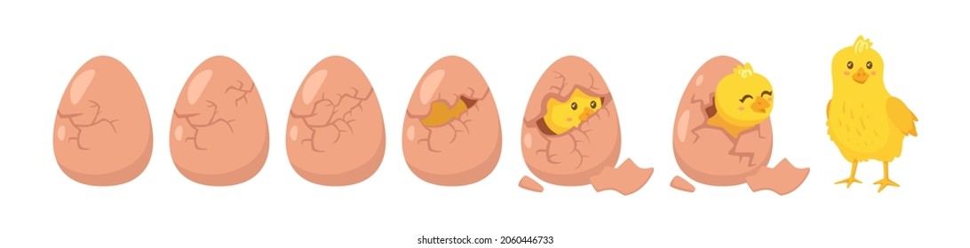 Cute happy yellow chick breaks free of the shell. Chick standing in a cracked egg. Hatching process. Vector illustration isolated on white background. 