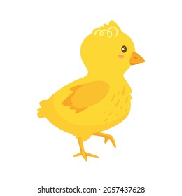 Cute happy yellow chick. Side view. Vector illustration isolated on white background.