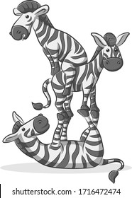 Cute and happy Zebra cartoons
