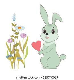 Cute hare