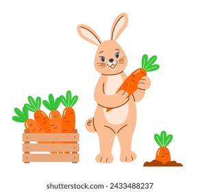 Linda liebre sostiene zanahoria madura en sus patas. Concepto de cosecha en jardín en camas, primavera, Pascua. Ilustración vectorial en estilo de dibujos animados sobre fondo aislado blanco.