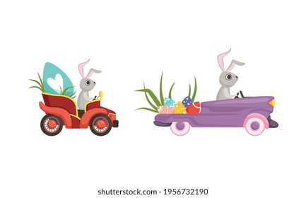 Cuta liebre con largas orejas conduciendo coche retro cargando vectores de huevos de Pascua de colores