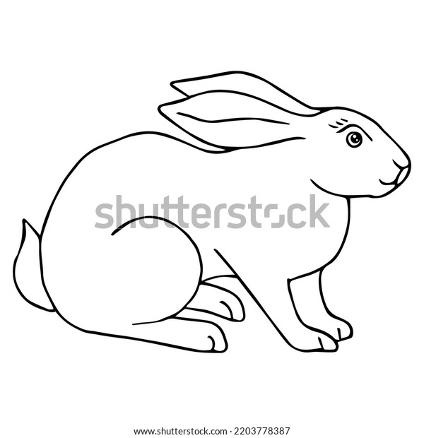 Cute Hare Sketch Vector Illustration Black Stock Vector (Royalty Free ...