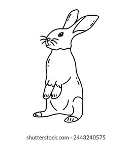 La liebre linda se para en las patas traseras. Adorable conejo, animal salvaje del bosque. Símbolo de Pascua. Ilustración aislada de vector en blanco y negro dibujado a mano