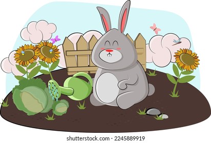 A cute hare waters cabbage in his garden and admires