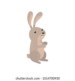 Cute Hare Woodland Cartoon Animal Vector Illustration