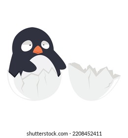 Cute hatching penguin from the egg vector