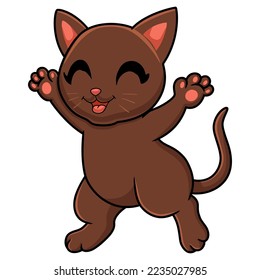 Cute havana brown cat cartoon