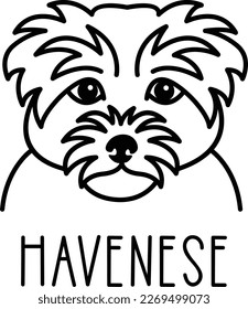 Cara havenesa muy fina. Icono de cabeza de perro. Ilustración vectorial aislada dibujada a mano en estilo doodle sobre fondo blanco