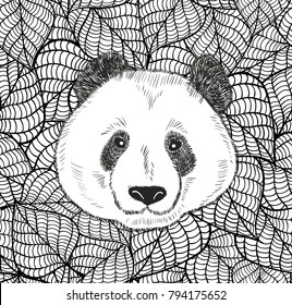 Cute head of chinese bear panda. Black and white illustration on leaves background for coloring.