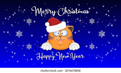 A cute head of fat puss with a Santa Claus hat against the background of a bright blue starry festive sky with snowflakes. White calligraphic inscription, Merry Christmas and Happy New Year