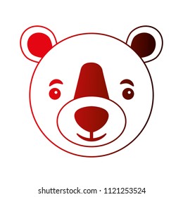 cute head portrait bear grizzly