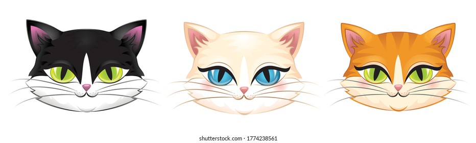 Cute heads of different cats isolated on white.